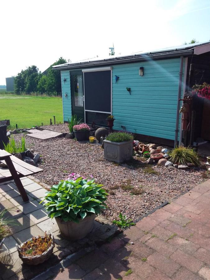 Betty'S Tiny House Panzió Wieringerwerf Kültér fotó